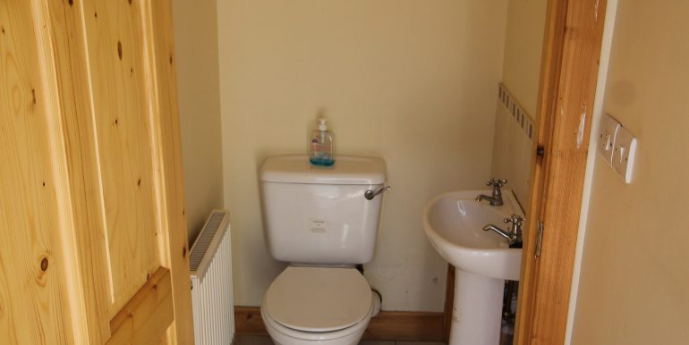 DS toilet