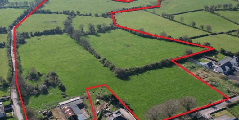 Killeenagalive, Pallasgreen, Co. Limerick. Main.