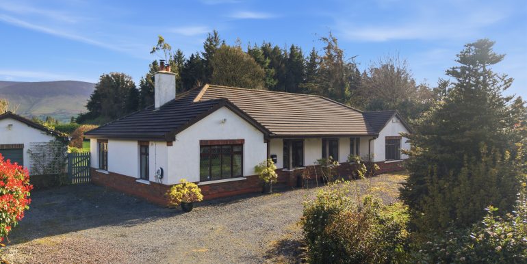 DJI_20260327161923_0009_D